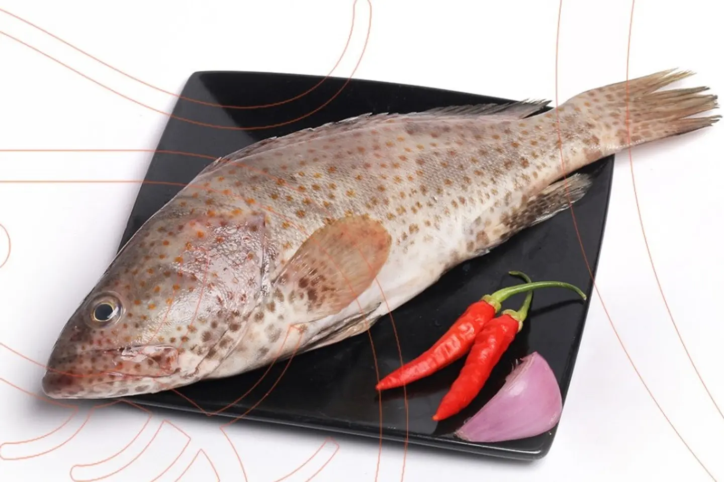 Grouper  - Fried