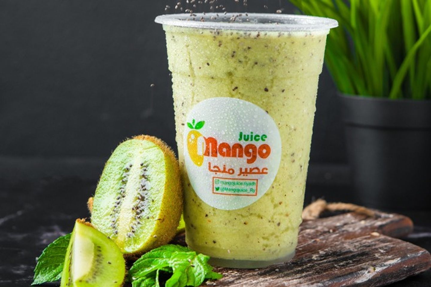 Kito Kiwi - Small