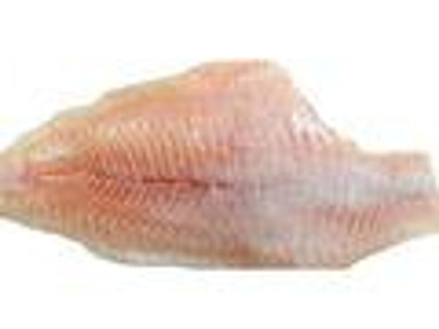Fillet Fish - Fillet Fish