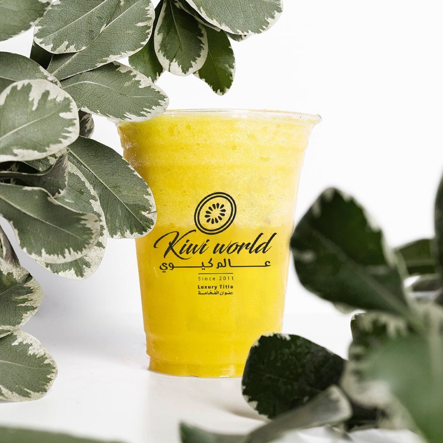 Lemon - Medium