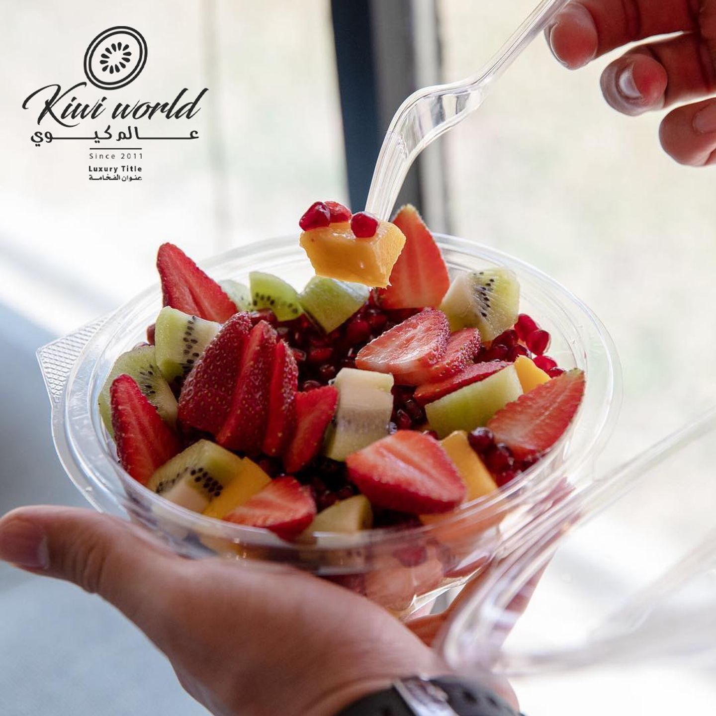 Salad World Of Kiwi - Medium