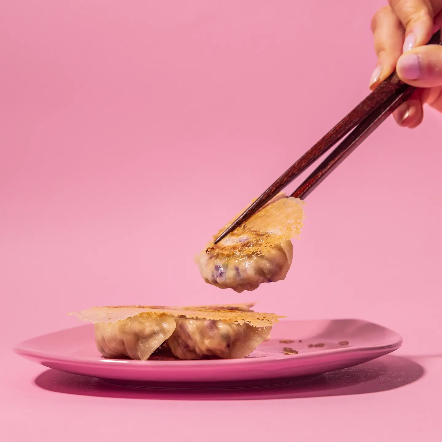 Katsu! Katsu! Gyoza! - Eggplant