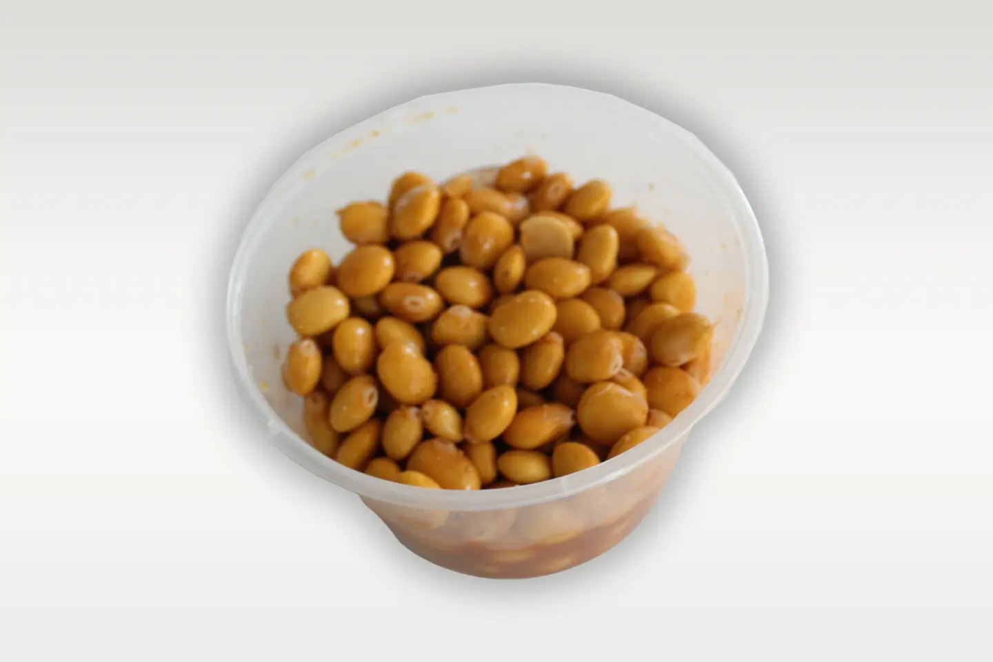 ترمس عادي - ترمس عادي