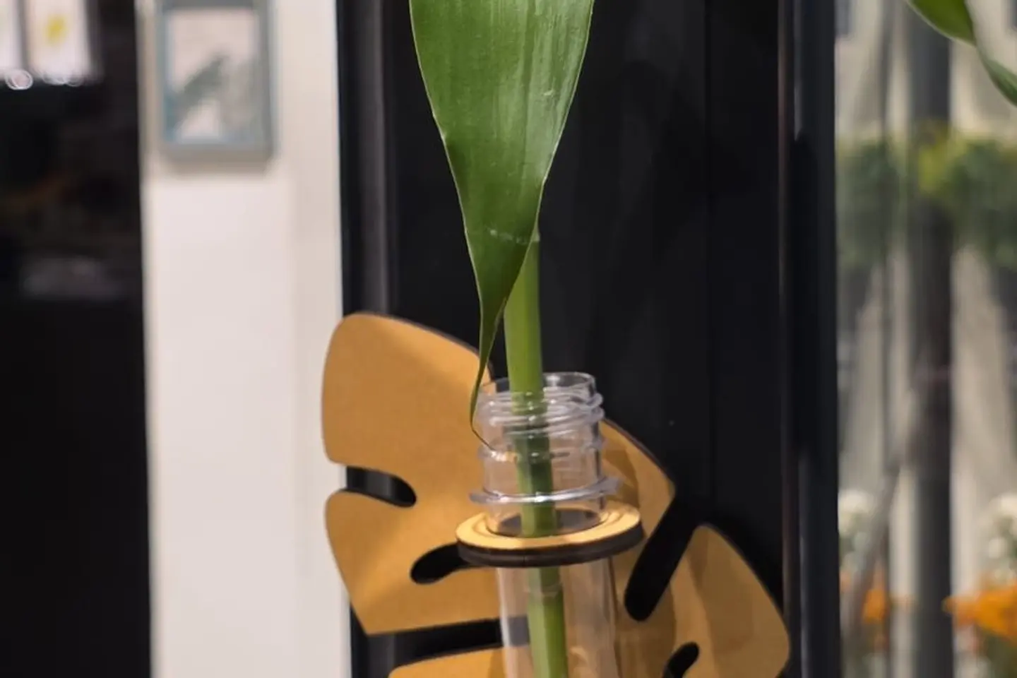 النبات المعلق الخشبي ٣ - غصن بامبو