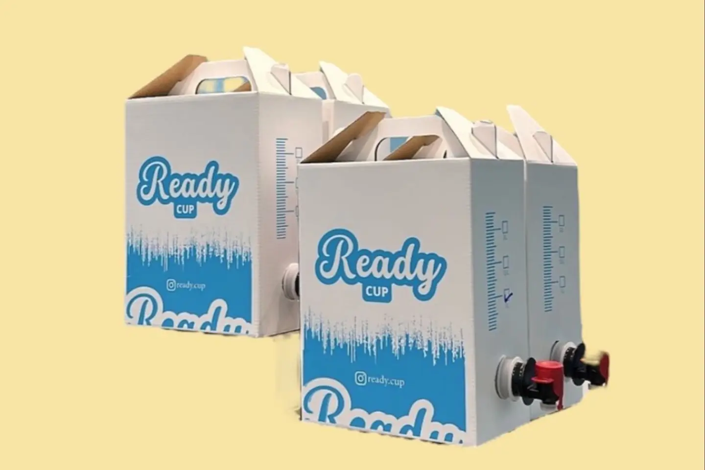 Box Strawberry Milk - 1 L