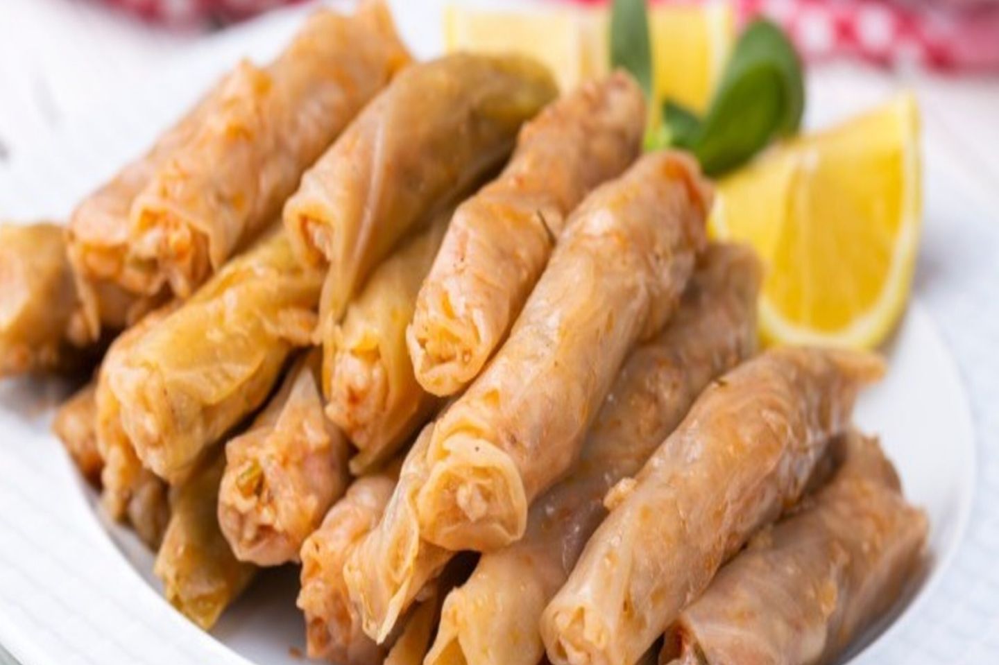ملفوف - وسط