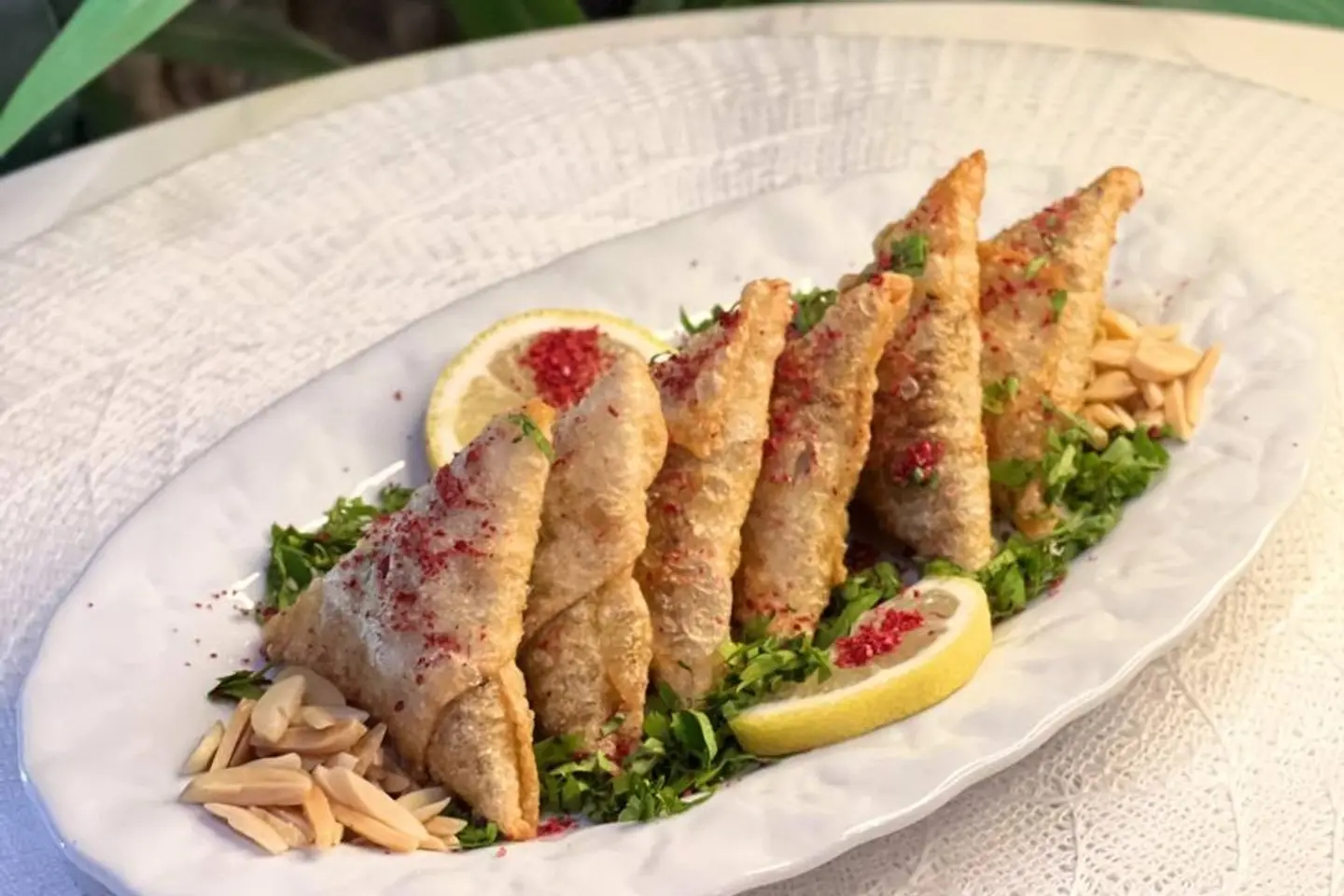 سمبوسة لحم - عشرين حبه