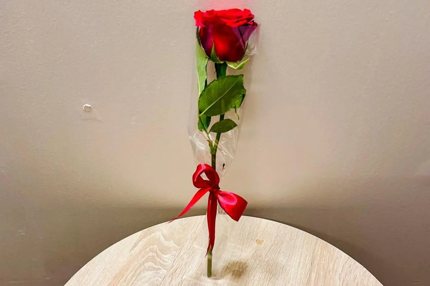 A Single Rose - Color White