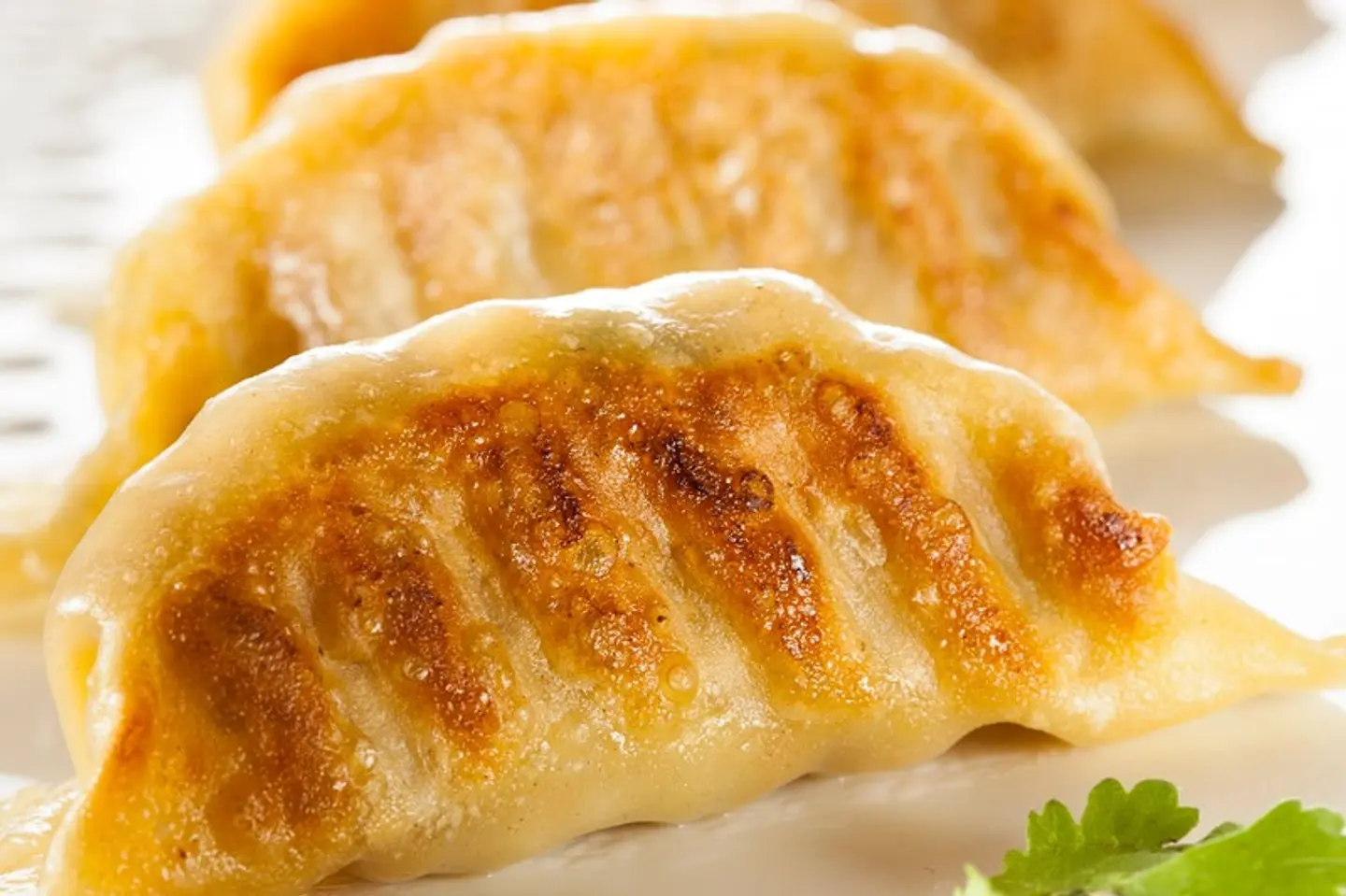 مانتو مقلي عائلي - مانتو جمبري  مجنات بكين مقلي عائلي ٤ قطع