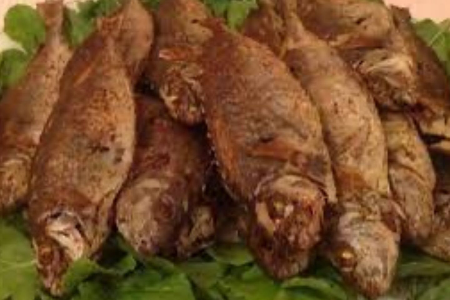 سيجان مقلي - كيلو