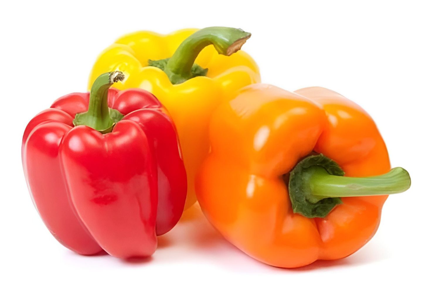 Colorful Bell Pepper  - 1 K