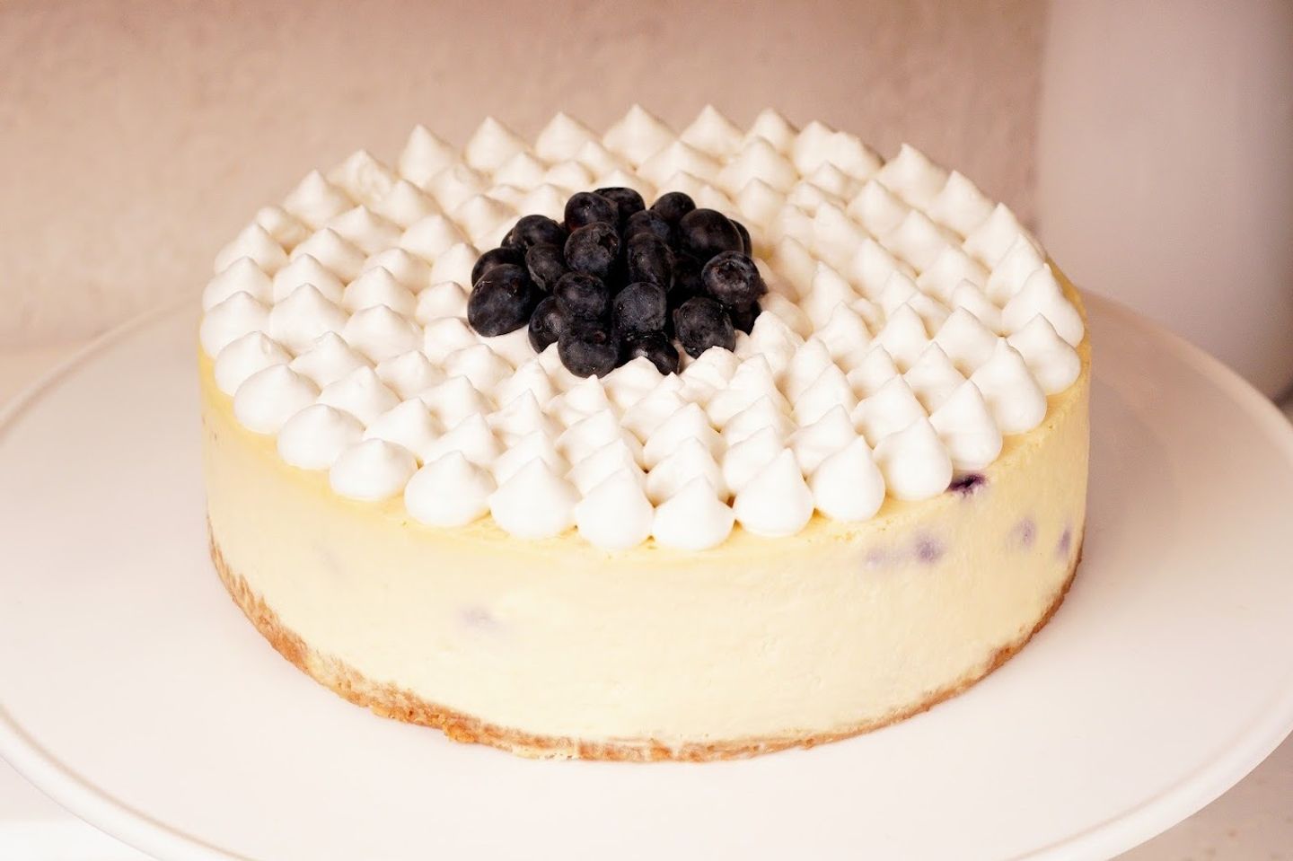 Blueberry Cheese Cake - Mini Blueberry Cheese Cake