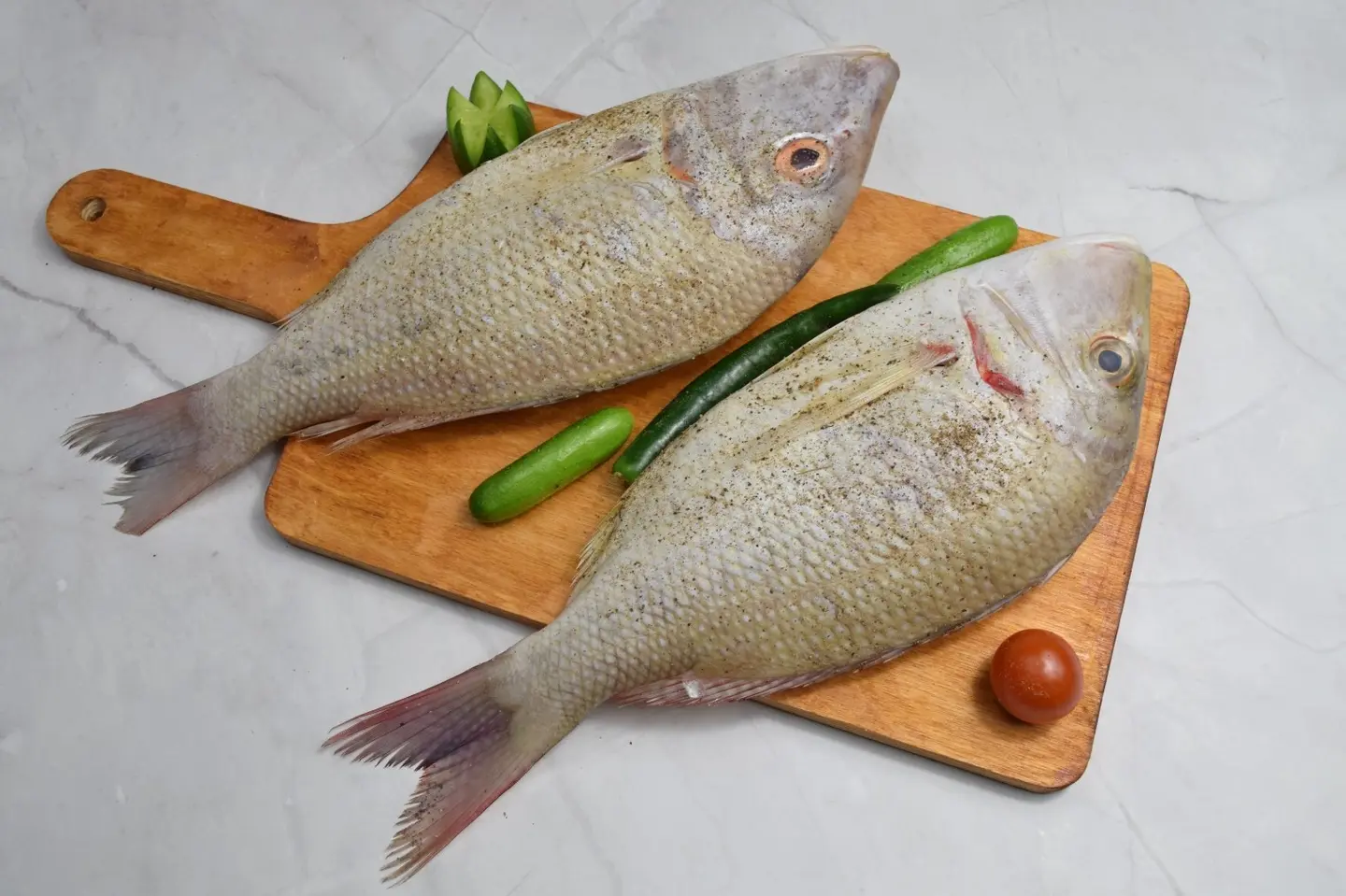 Shoer - Oil And Laymon