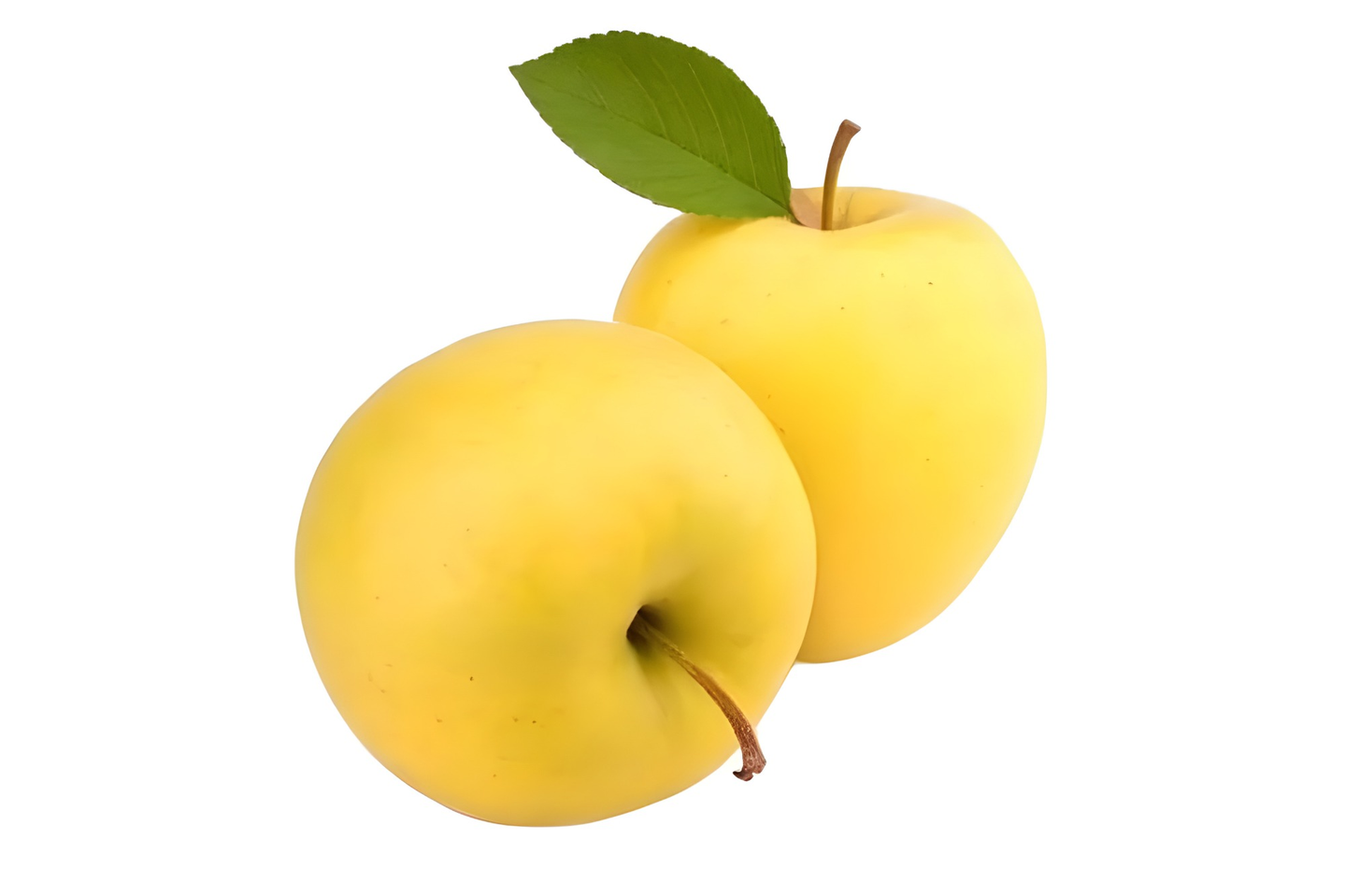 American Yellow Apple - 500 Kg