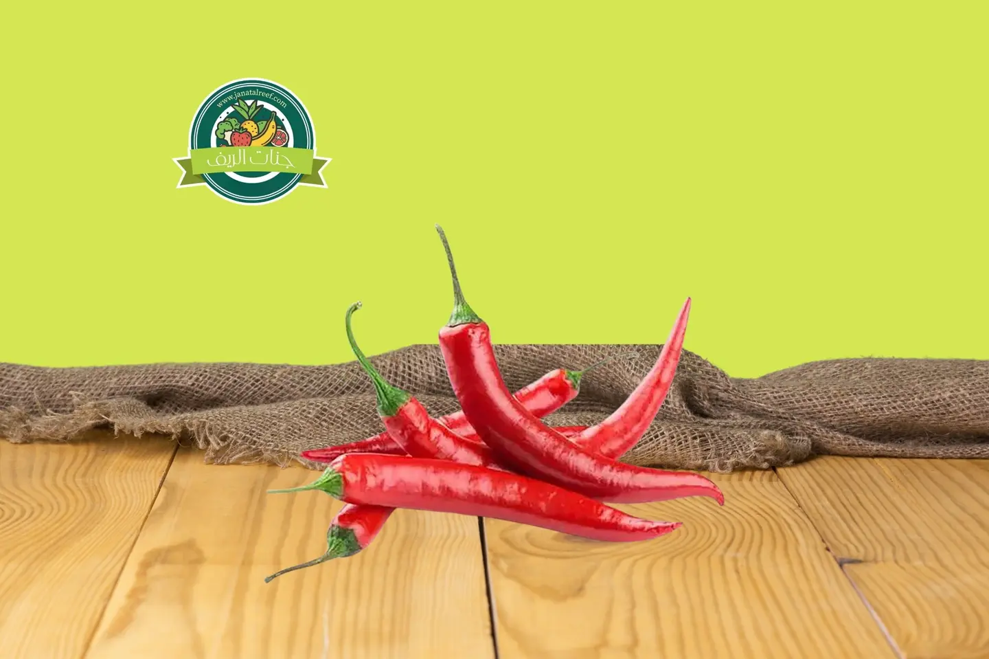 فلفل حار احمر  - نص كيلو