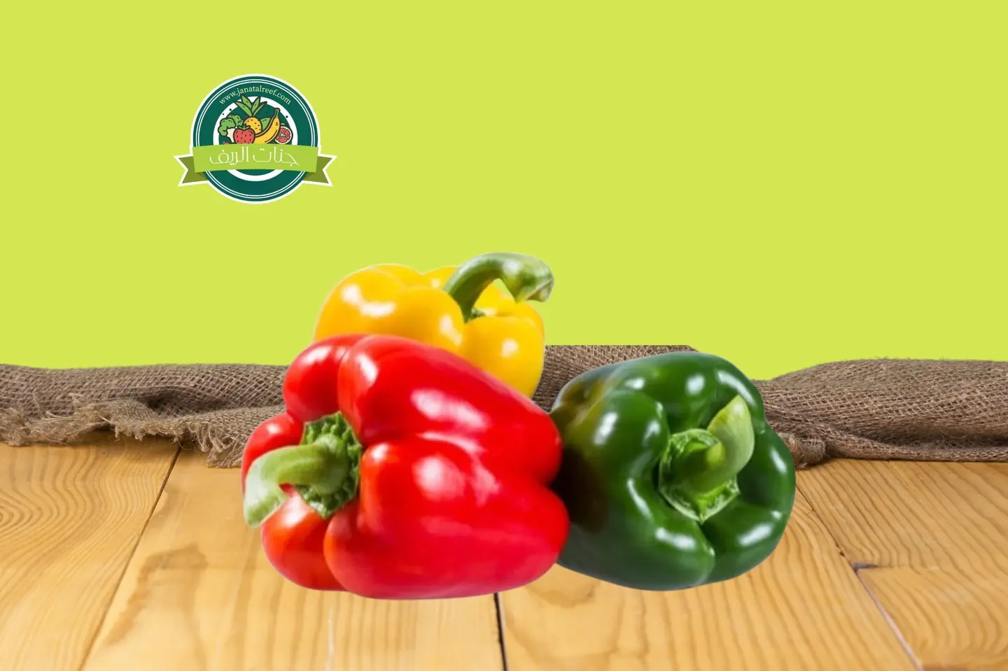 فلفل بارد الوان  - نص كيلو