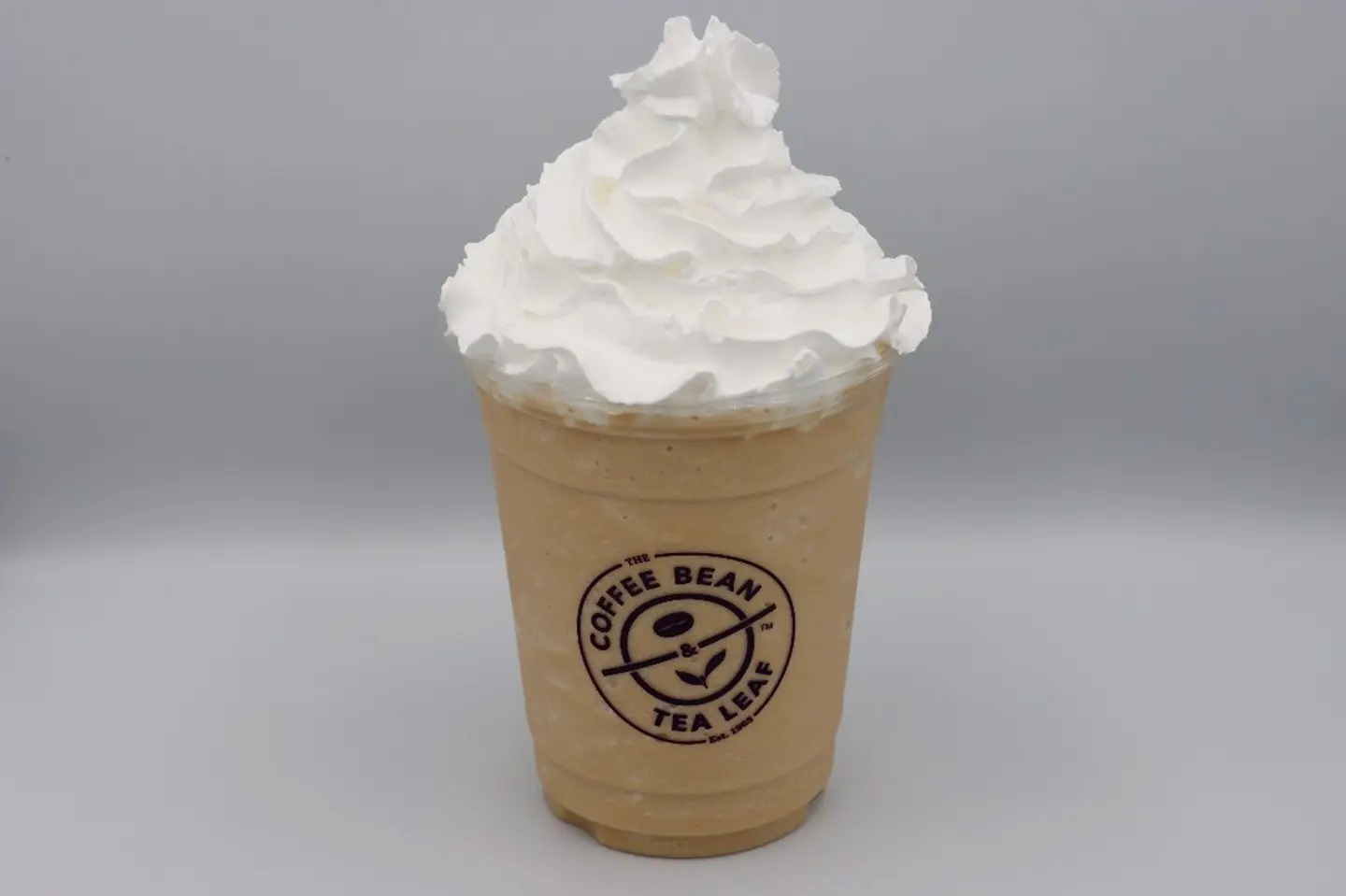 Ice Blended Vanilla - Small