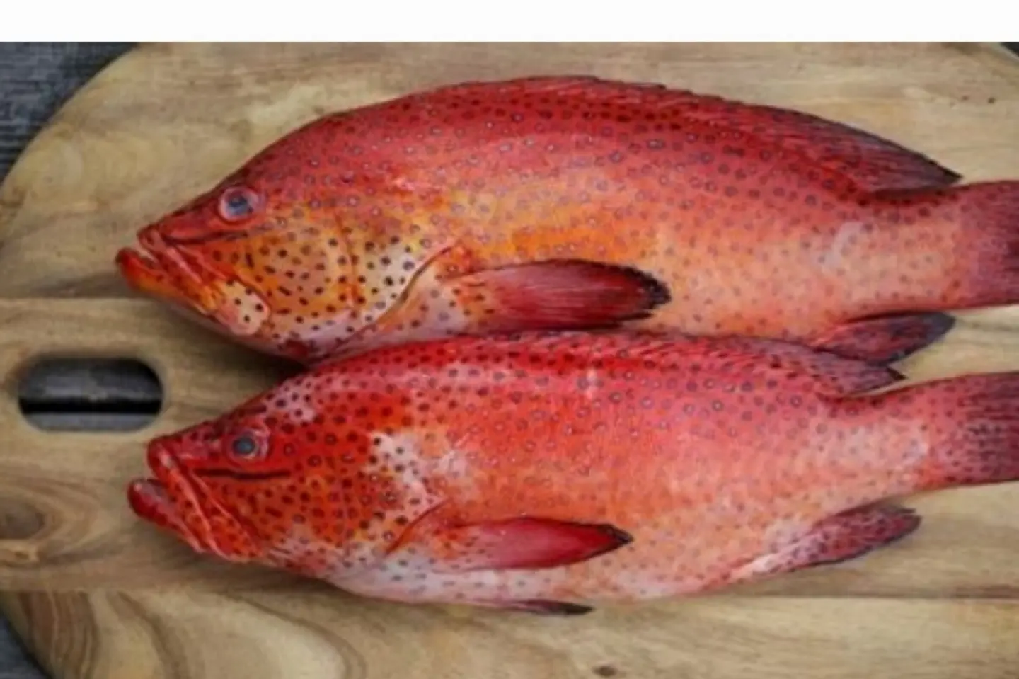 Nagel - Half A Kilo 500 Grams