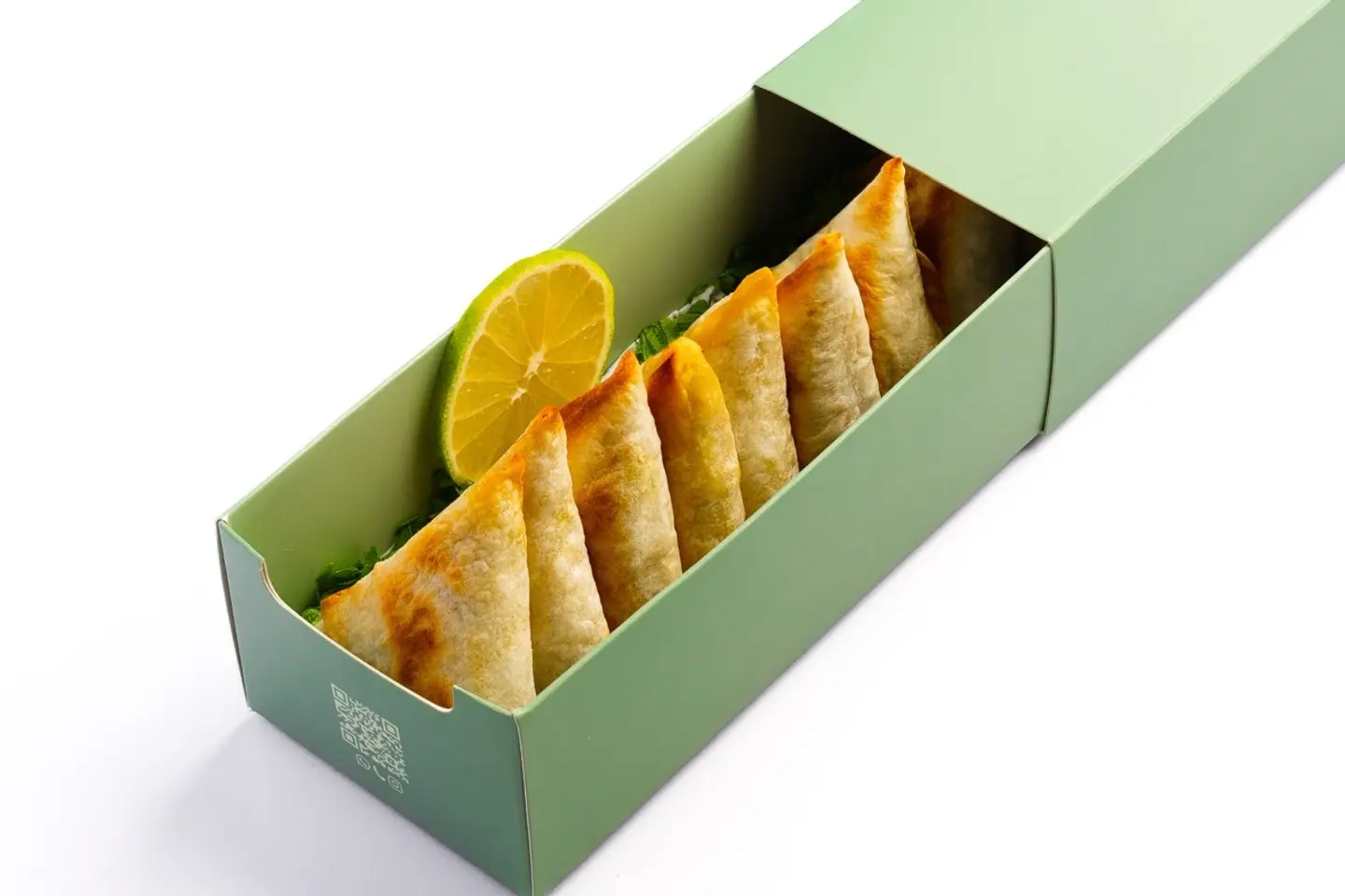 Chicken Sambosa - 10 Pieces