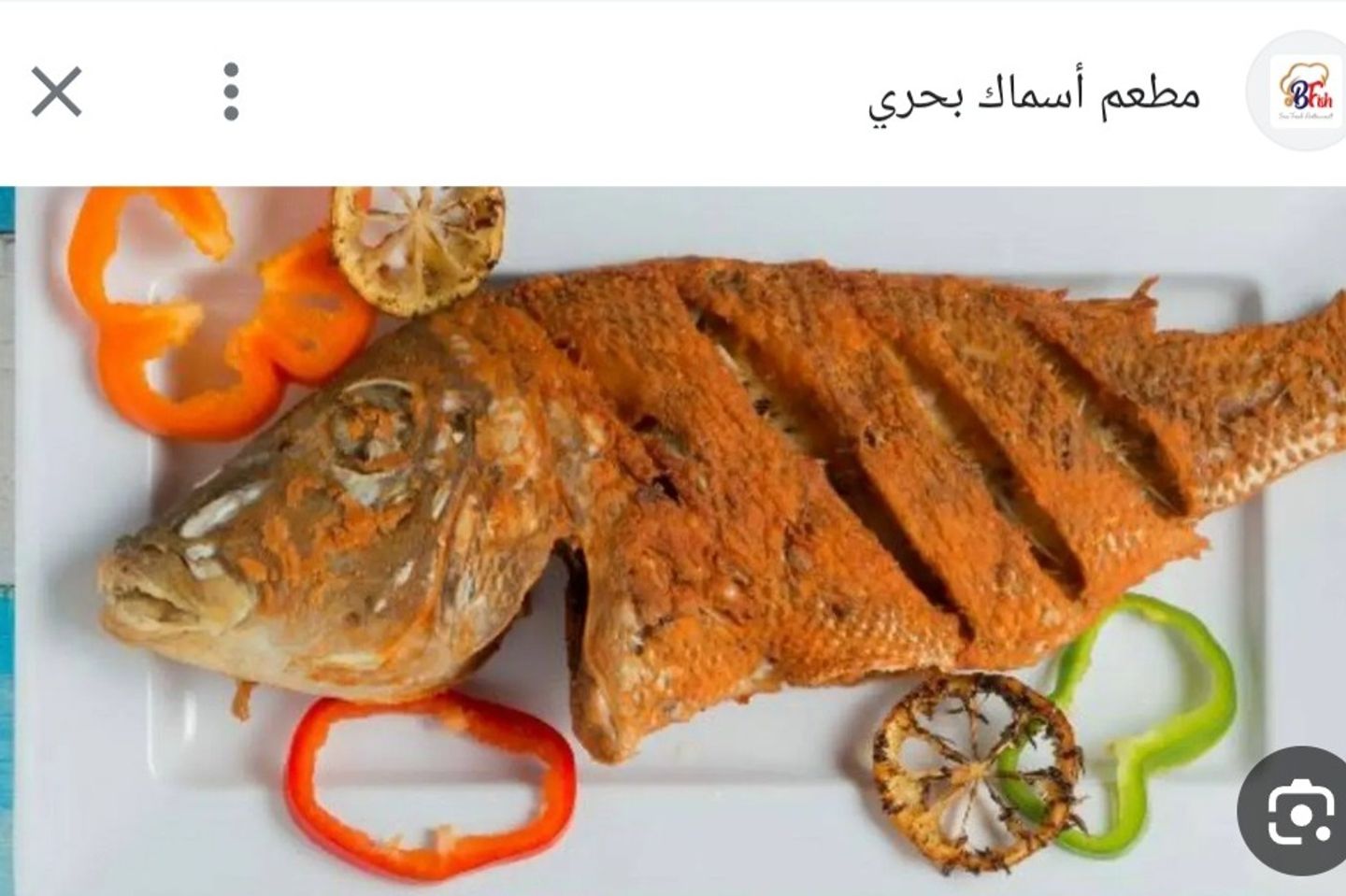 شعور - مشوي