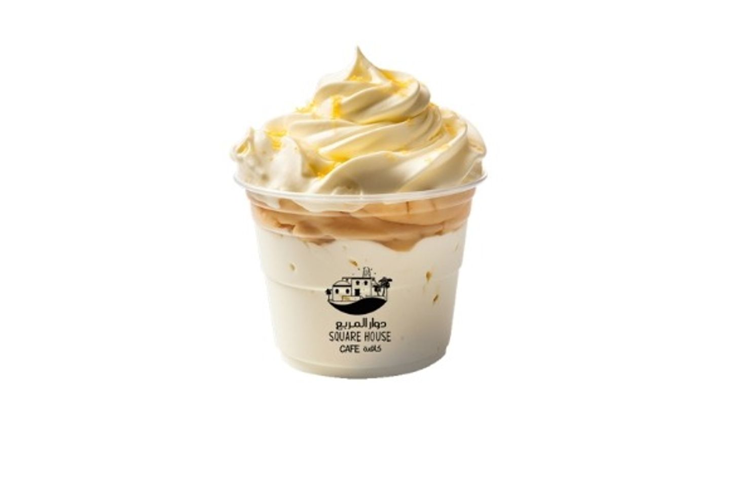 Yogurt Ice Cream - Biscuit