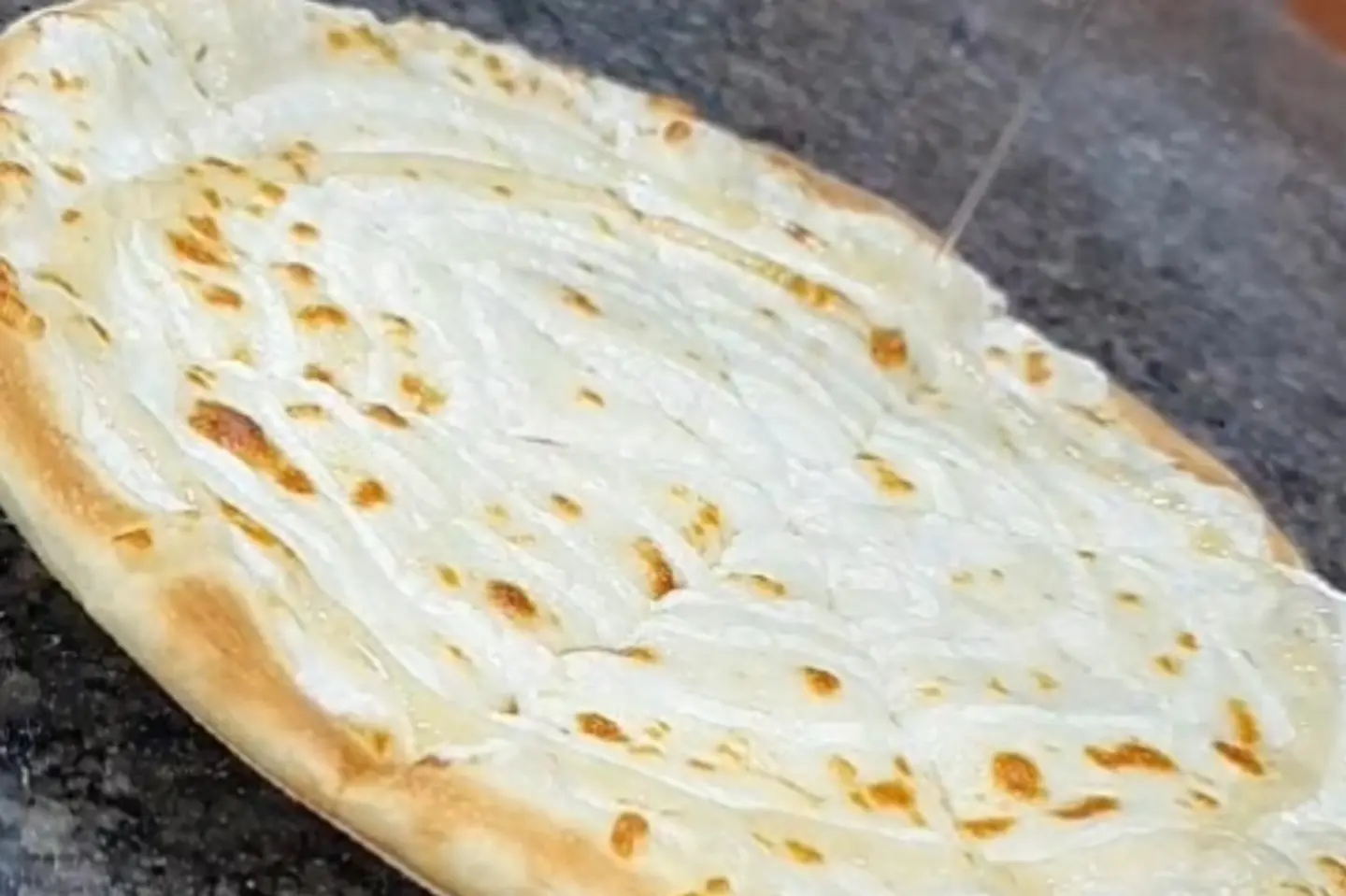 Ash Albulbul - Small