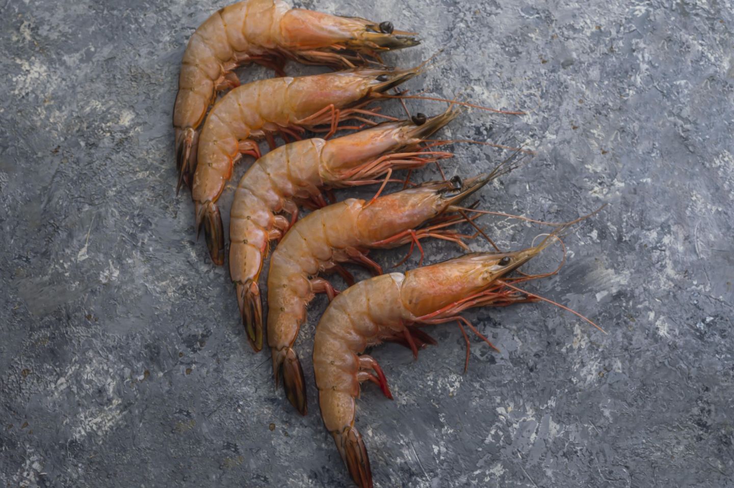 Fresh Sea Shrimp - Kilo