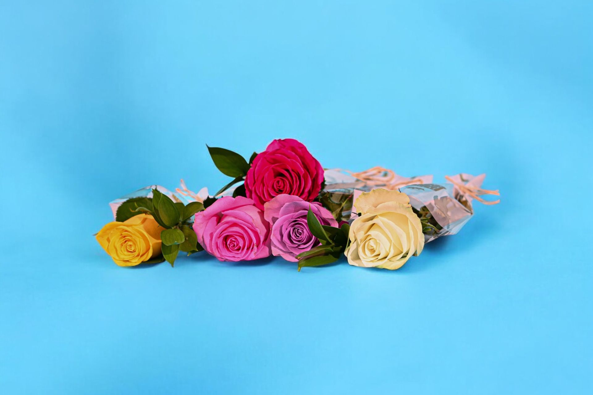 Single Rose Of Love 0027 - Yellow Rose