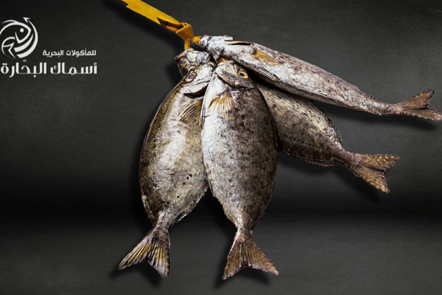 Sejan - Half Kilo 500g