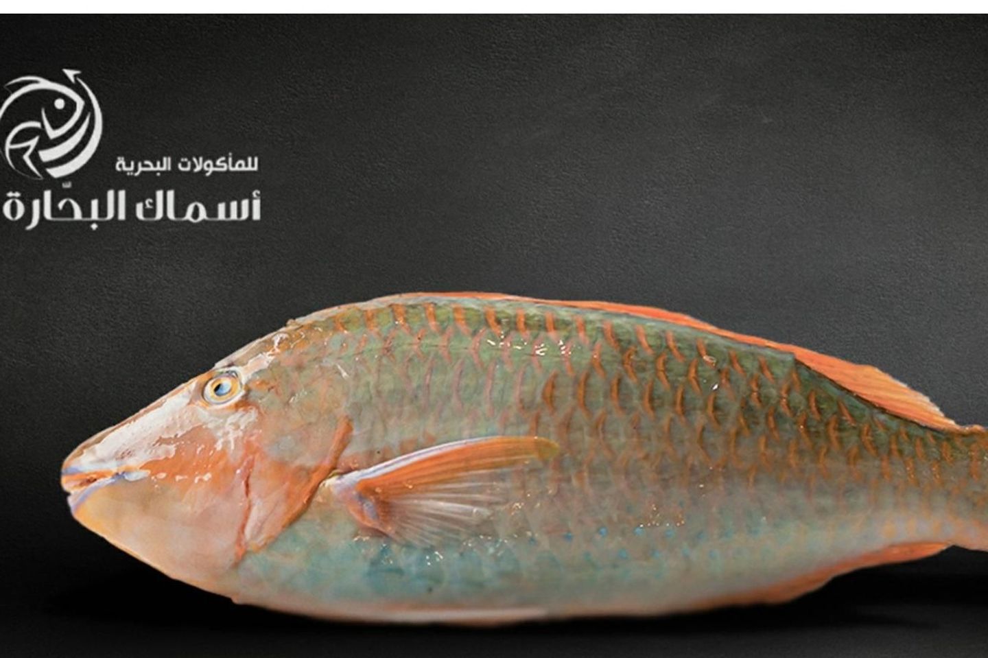 Harid Fish - Half Kilo 500g