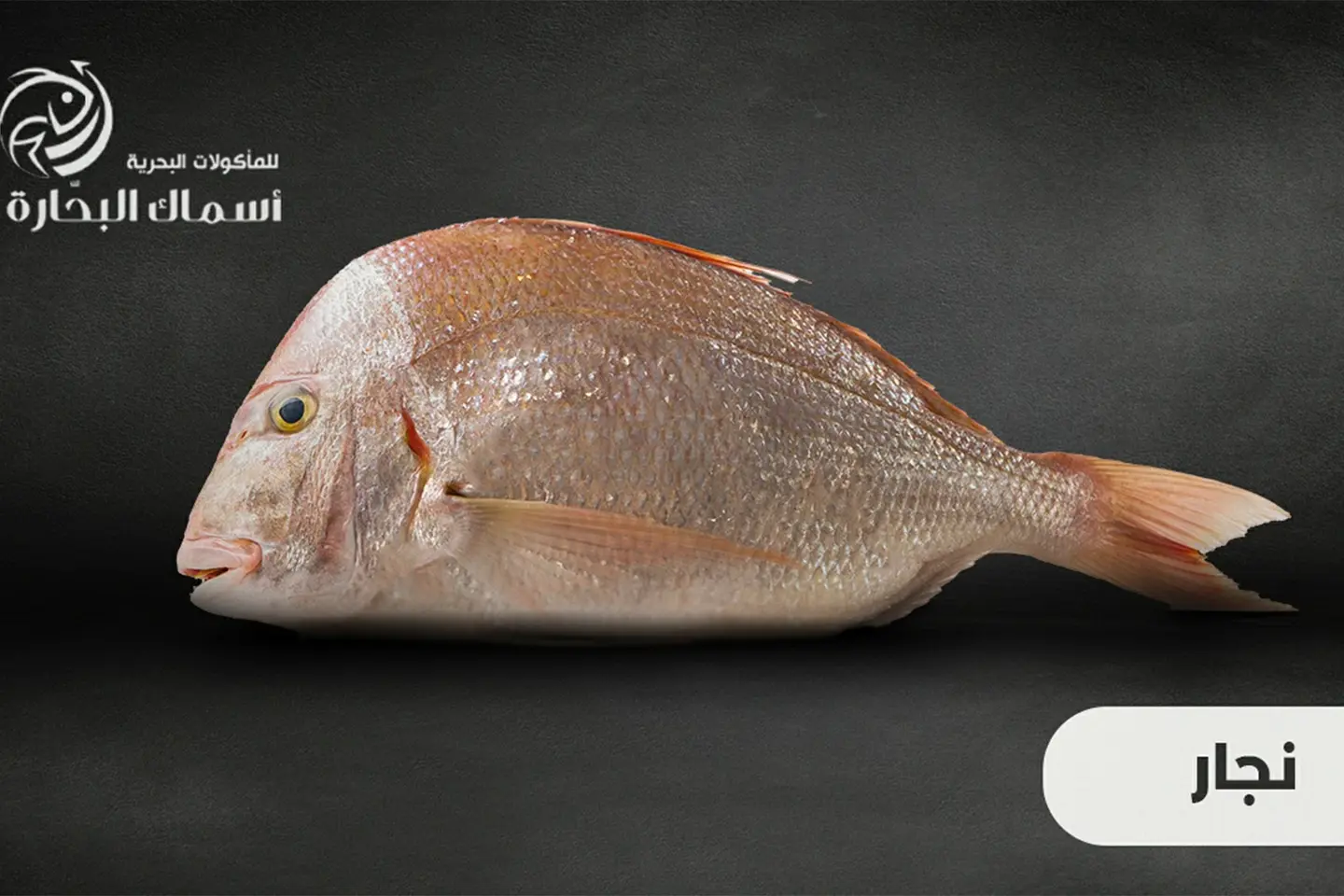 Najjar - Half Kilo 500g