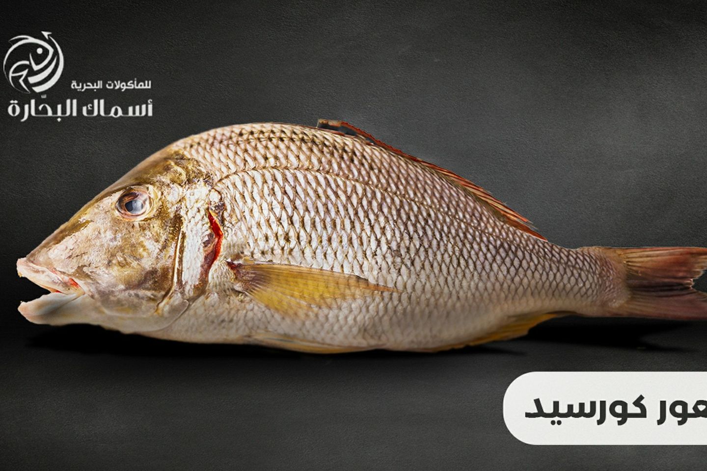 Fish Emperor - Half Kilo 500g