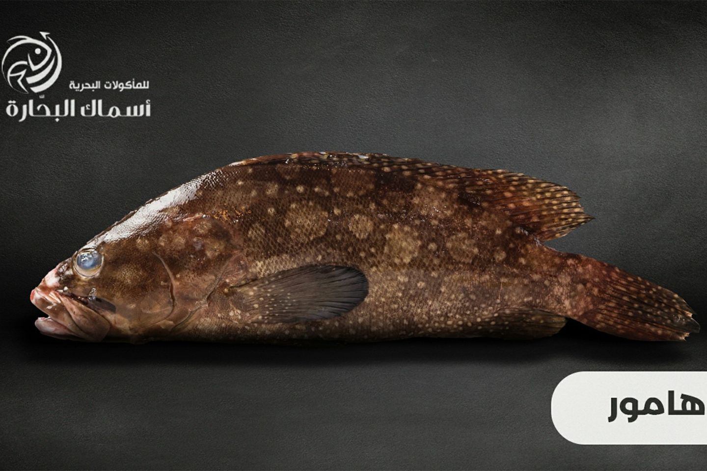 Hamour Fish - Half Kilo 500g