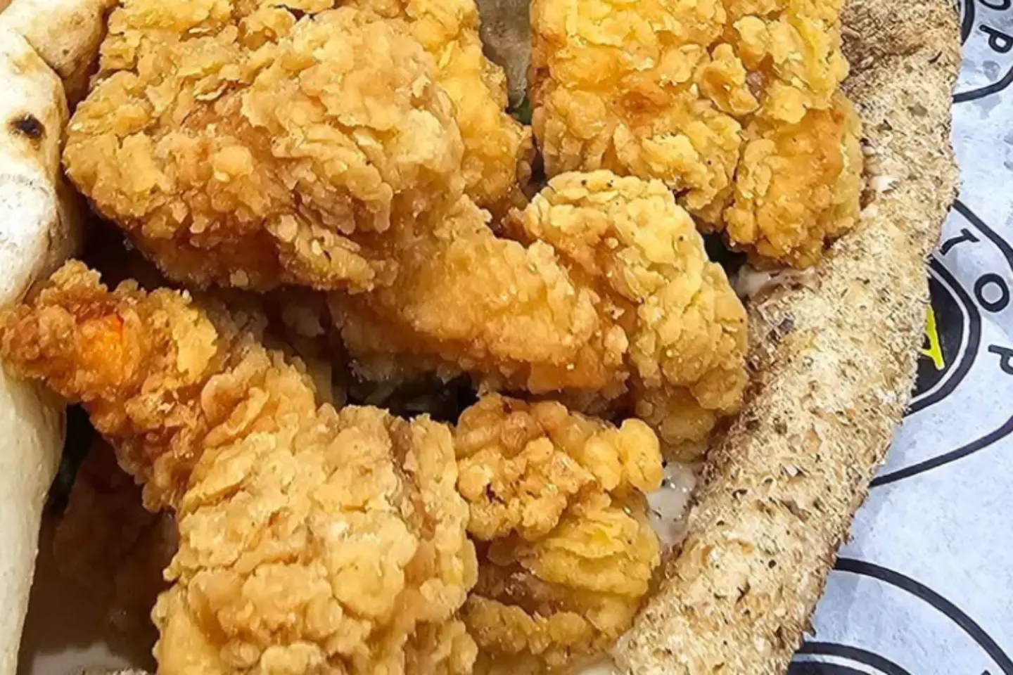 Talab Brain - Regular