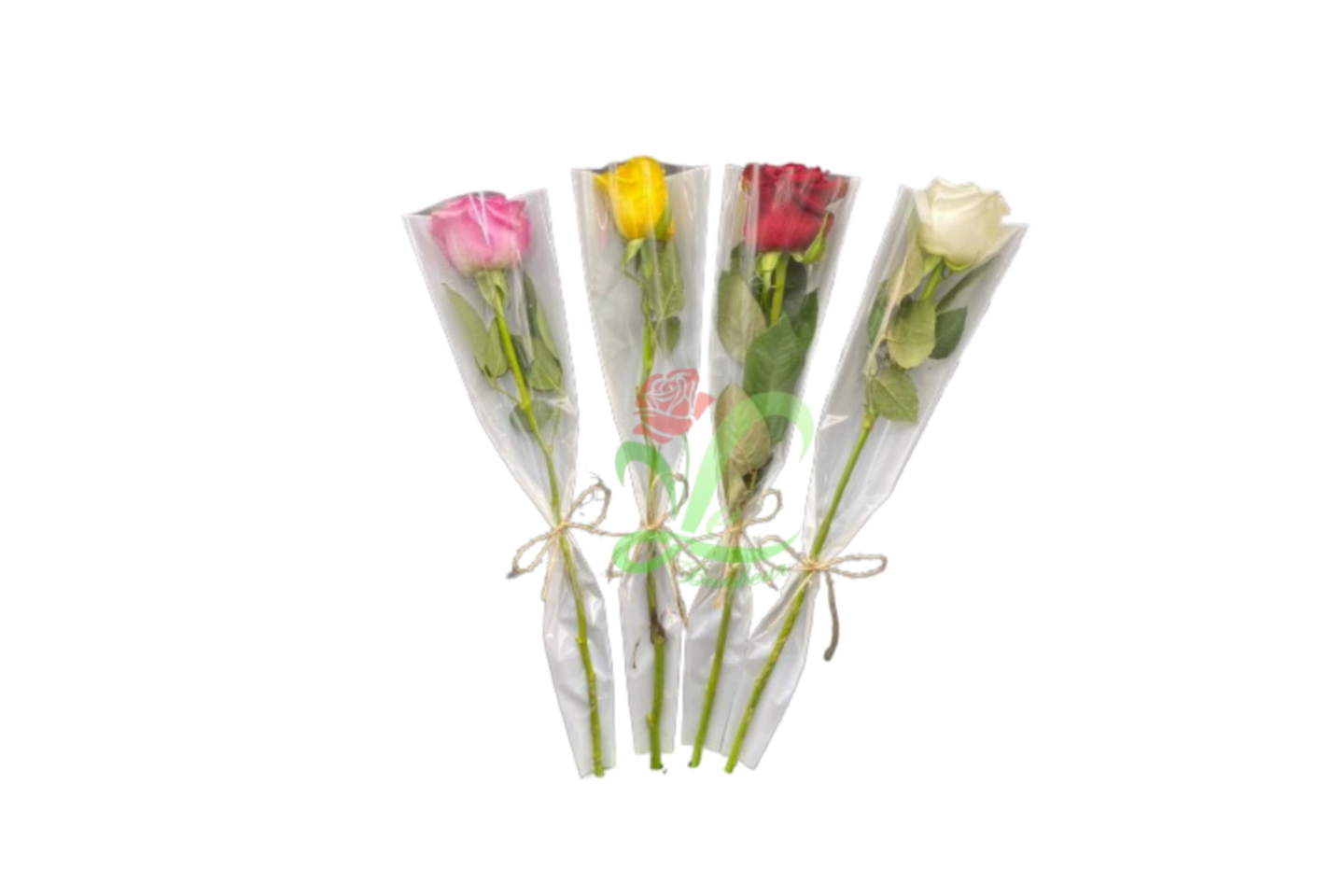 Rose With Wrapping - Fushi