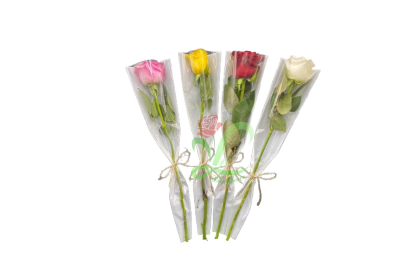 Rose With Wrapping - Fushi