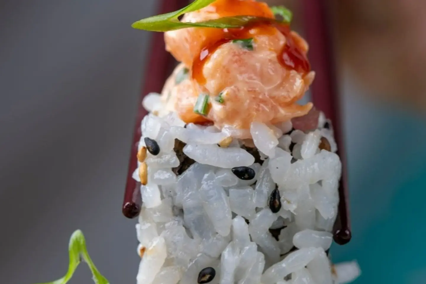 Spicy Salmon Rolls - Four Pieces