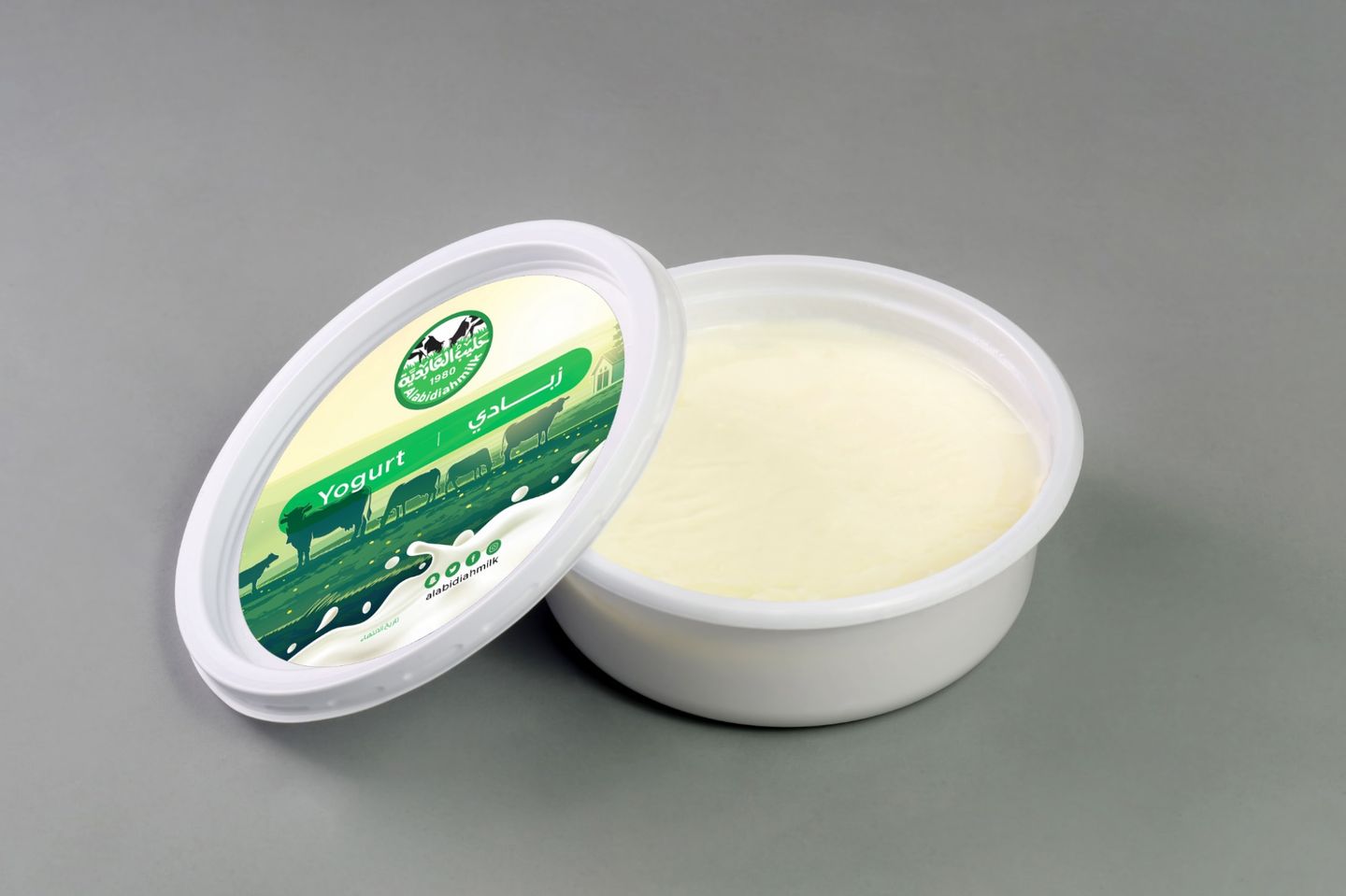 Yogurt - Large