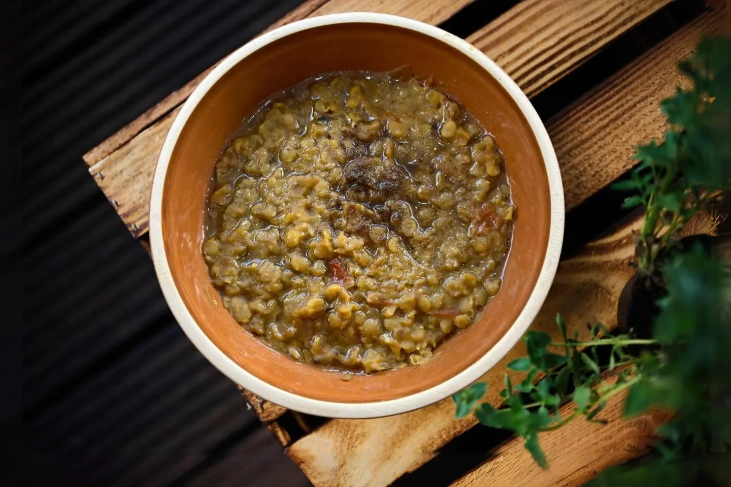 Lentil - Lentil