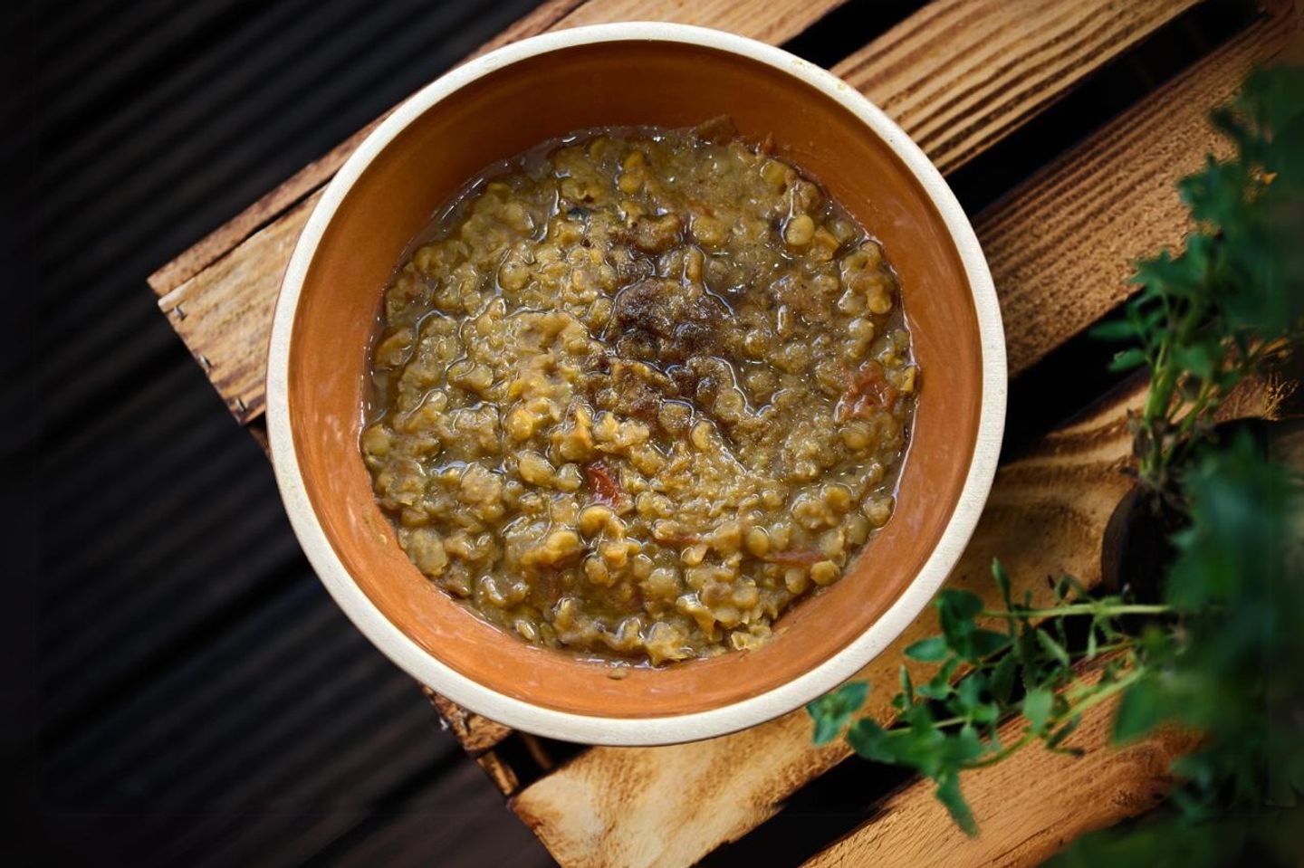 Lentil - Lentil