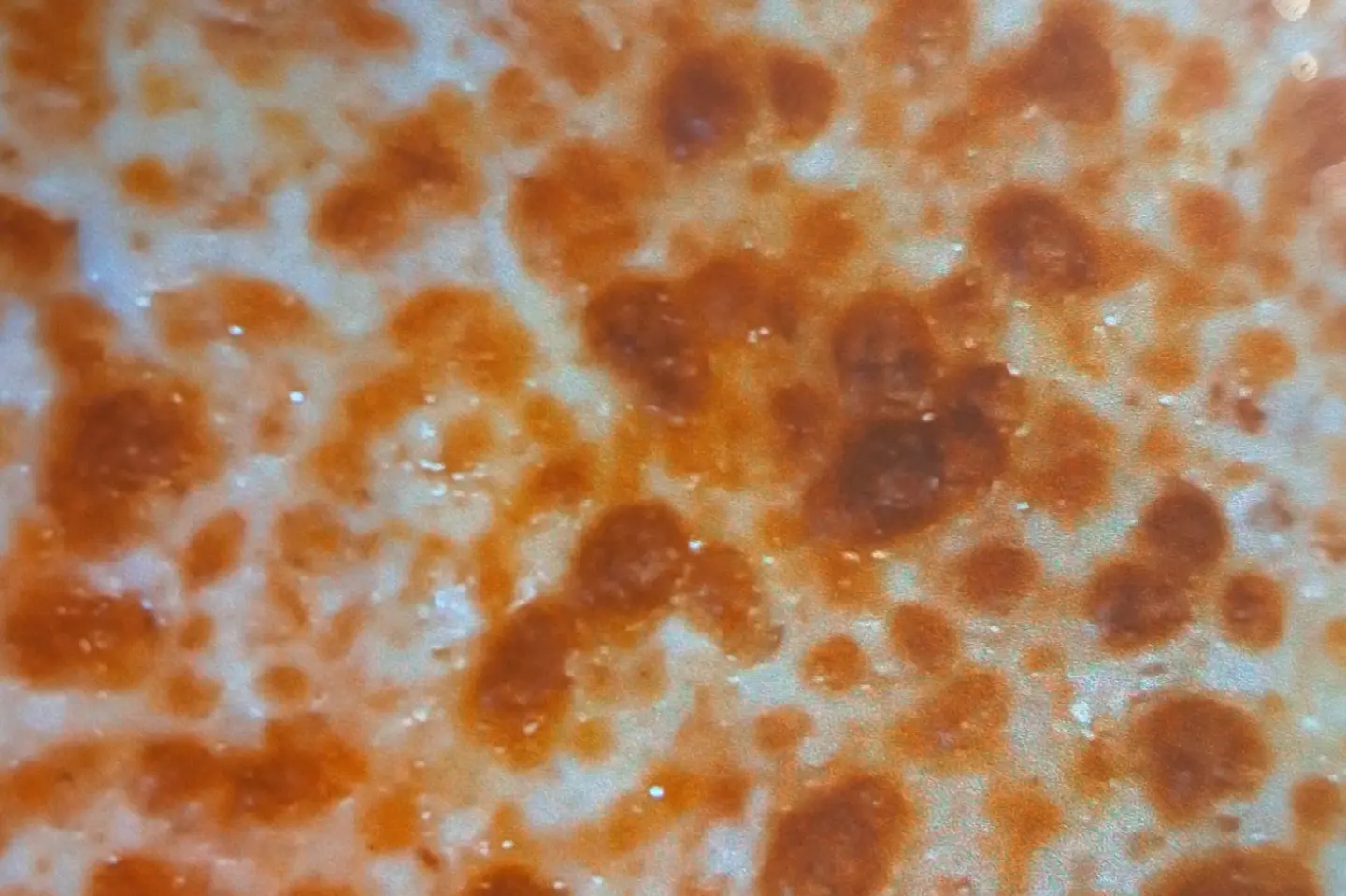 Margherita Pizza - Medium