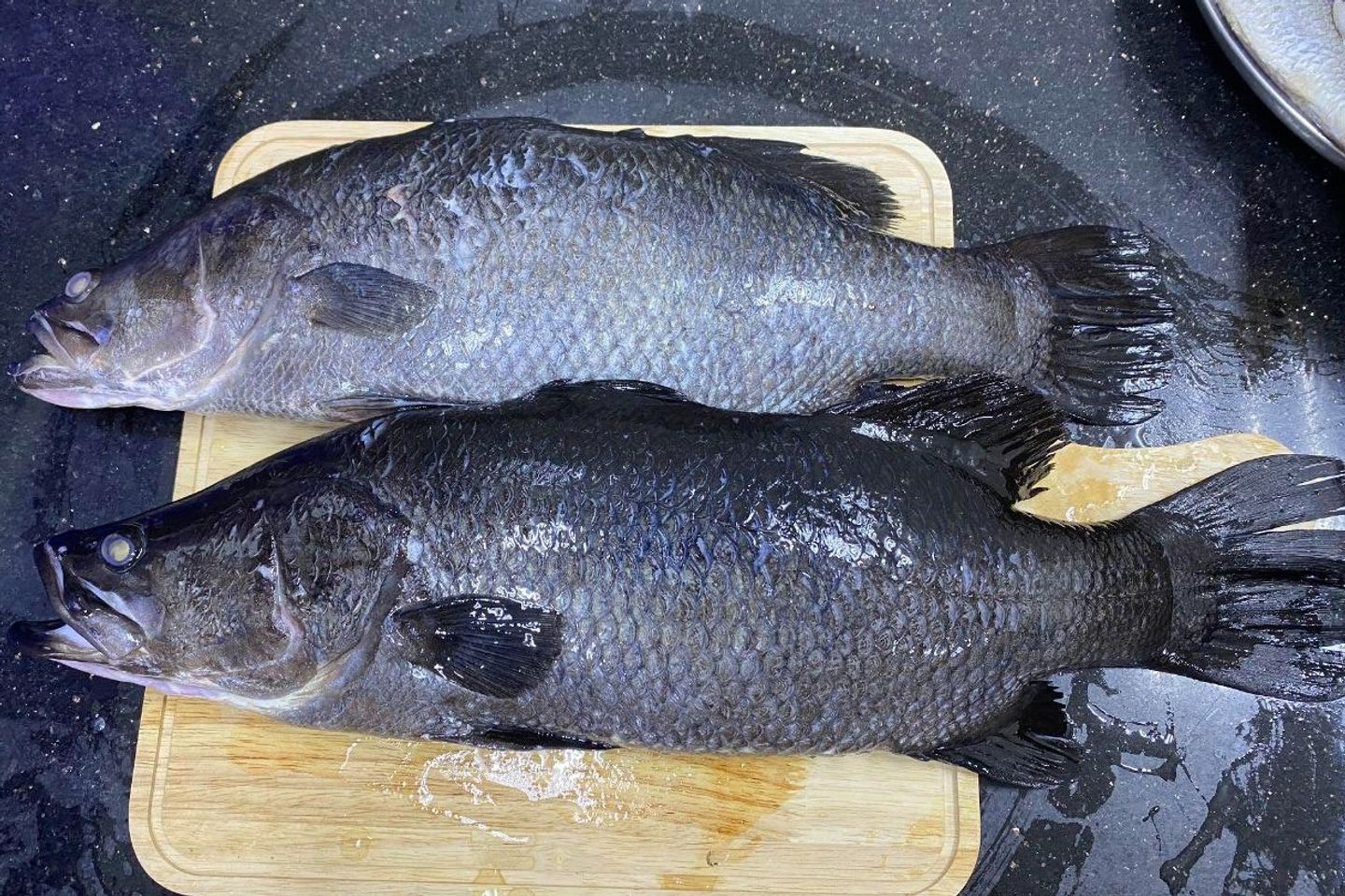 Bass - 1 Kg