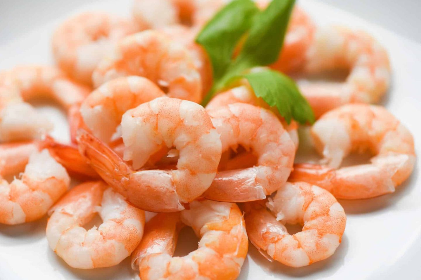 Medium Shrimp - 500 Grams