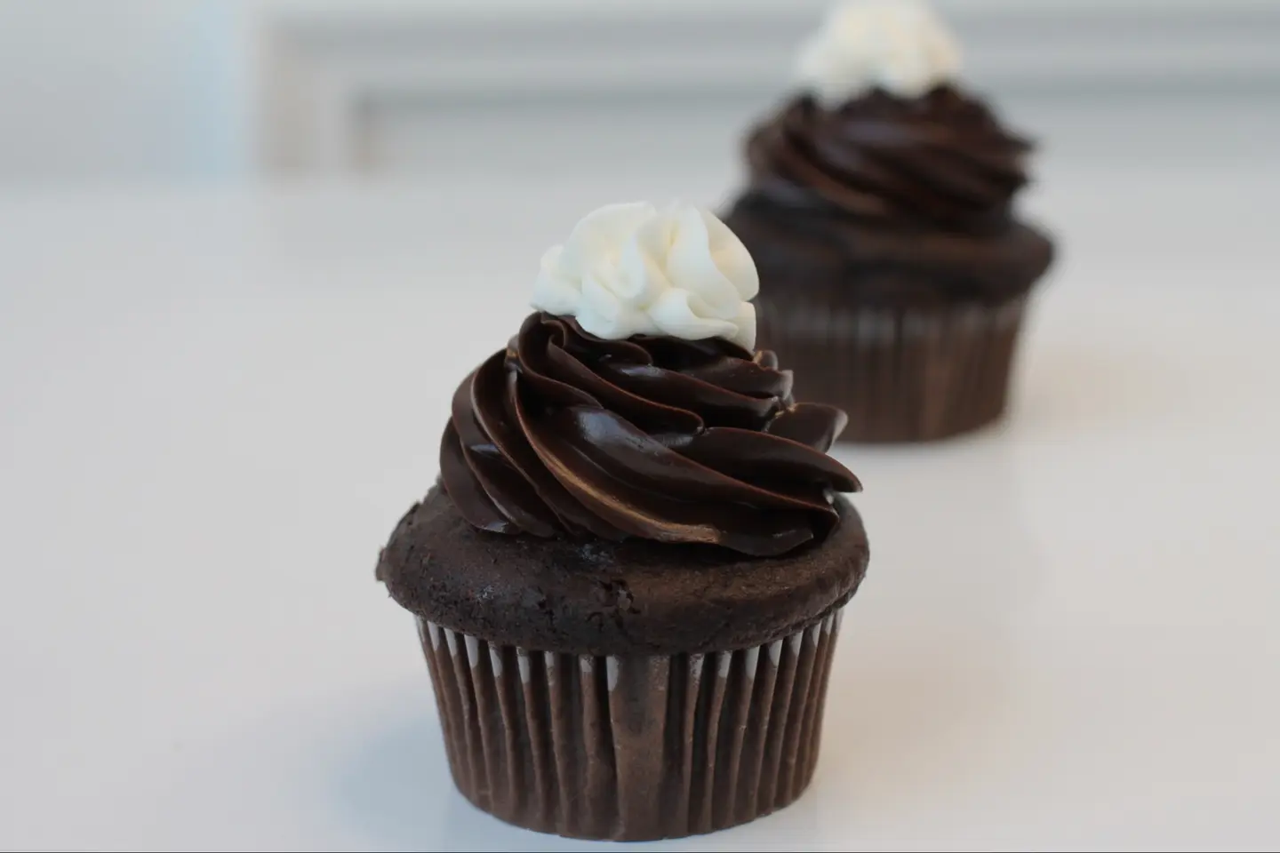 فودج ترافيل كب كيك - الحجم الميني