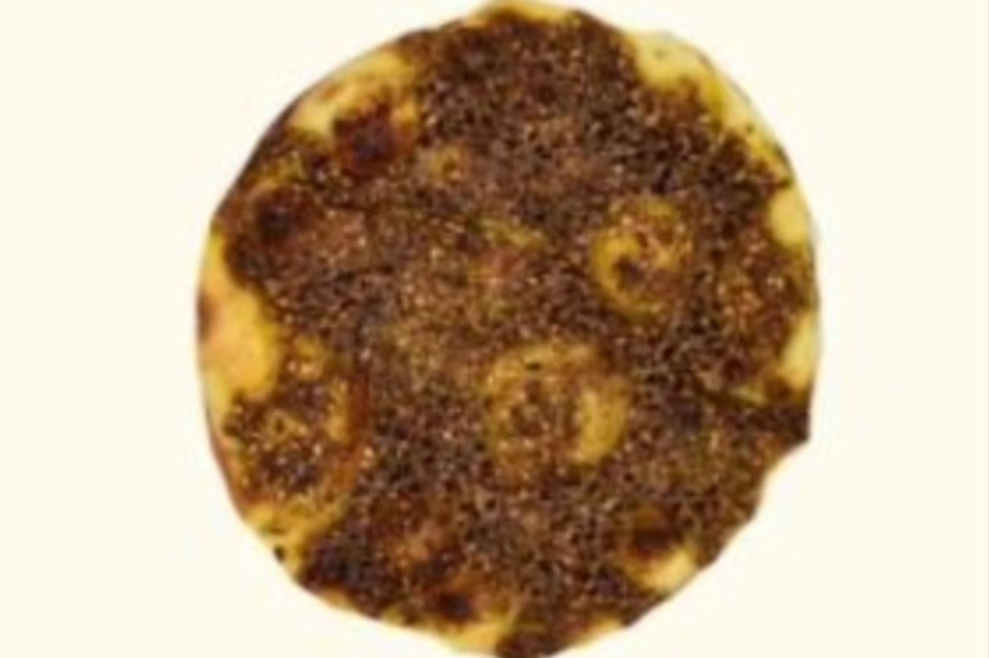 زعتر - صغير