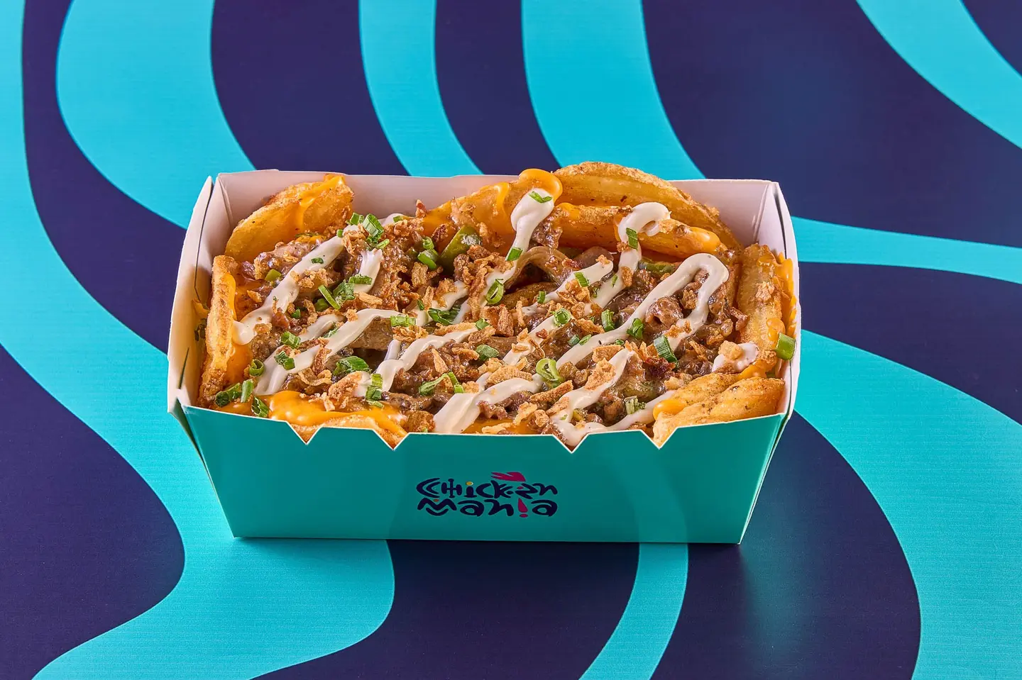 Steaky Tikki - Steaky Tikki Fries