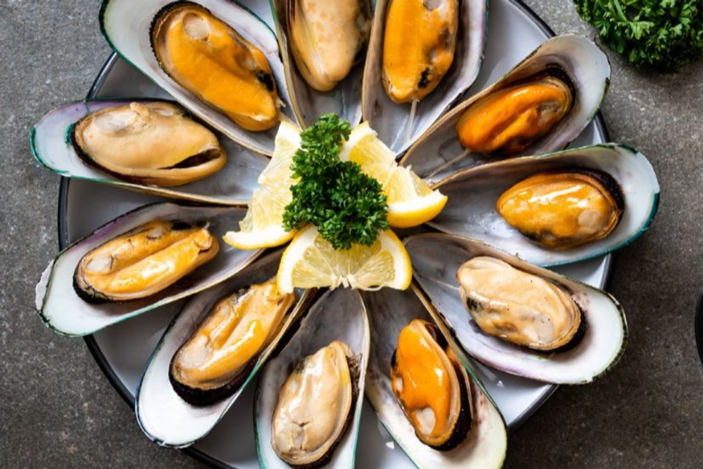Oyster - 1/2 Killo