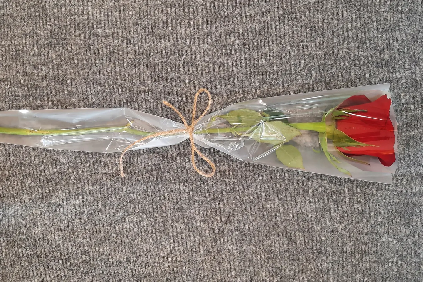 وردة حمراء واحدة - قطعة واحدة