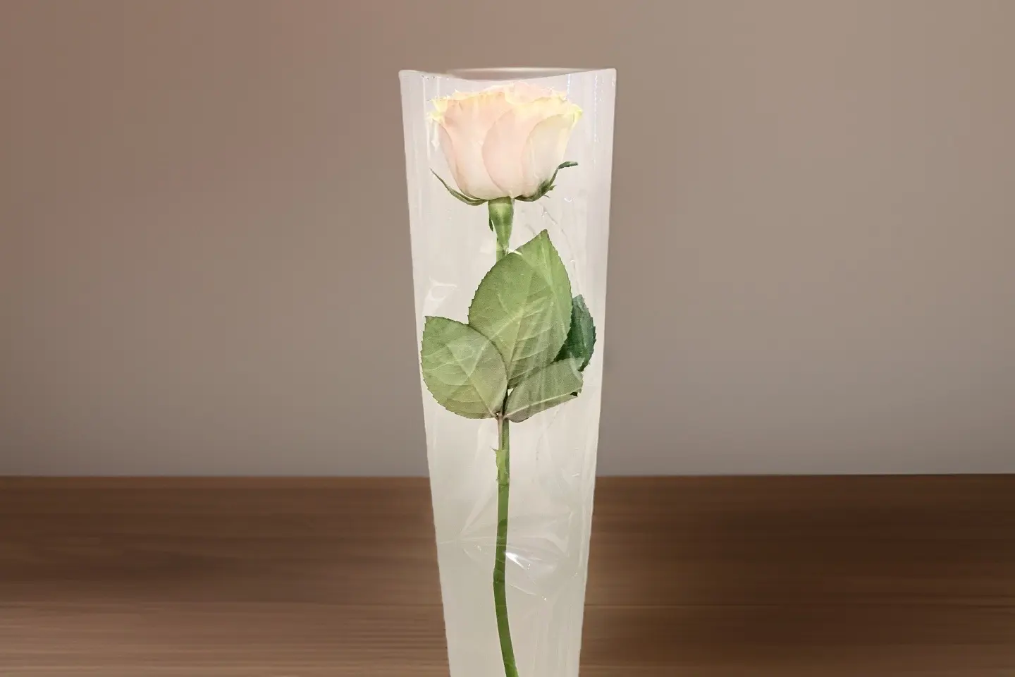 Single Rose 123 - Y