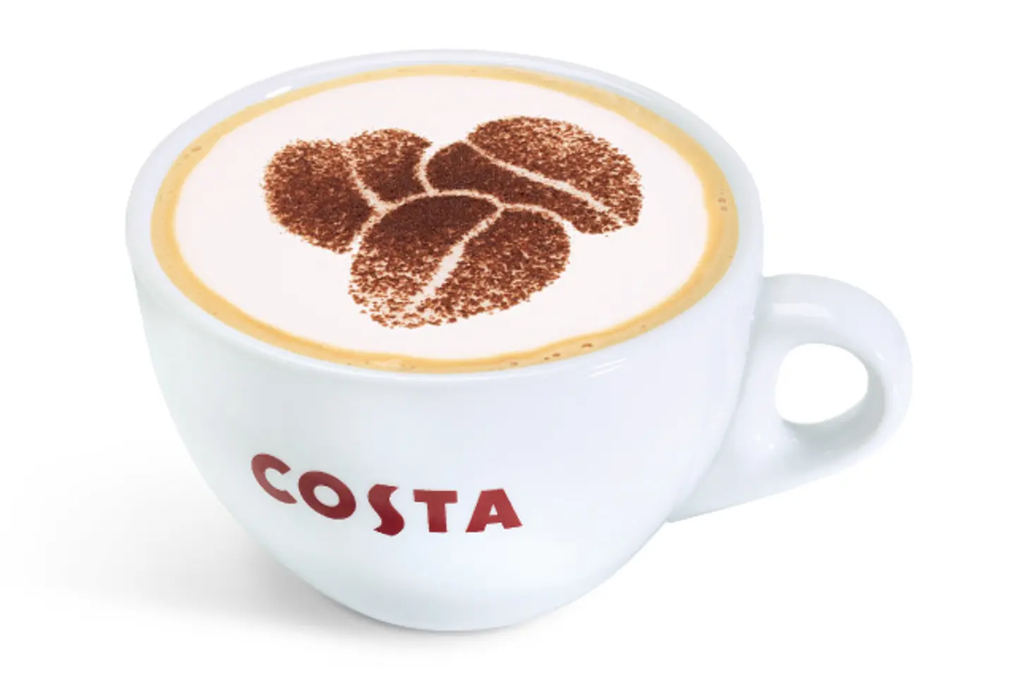 Cappucino - Cappucino S